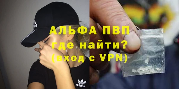 индика Пересвет