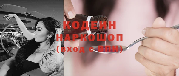 индика Пересвет