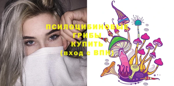 бошки Кадников