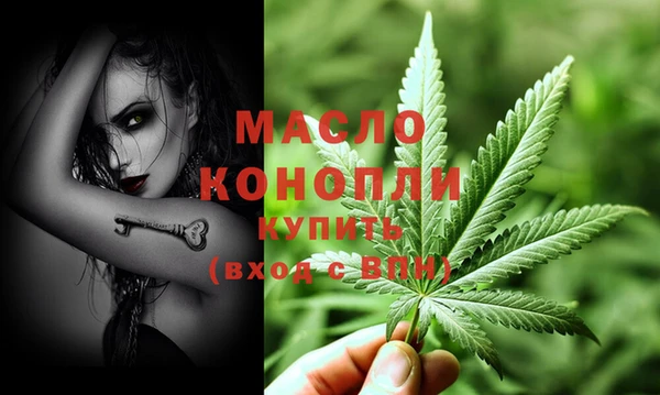 индика Пересвет
