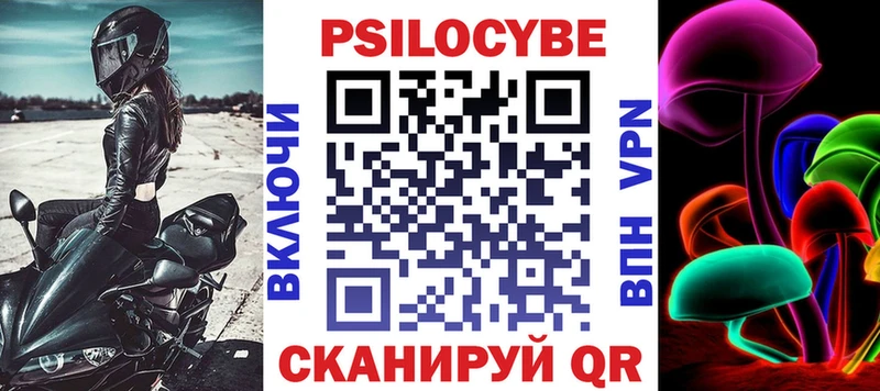 Галлюциногенные грибы Psilocybe  Константиновск 